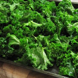 Lemon & Sea Salt Kale Chips