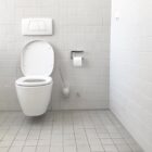 Is Your Poop Normal?