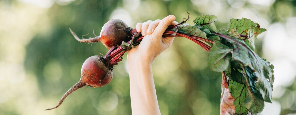 The Best Diet for Gut Health
