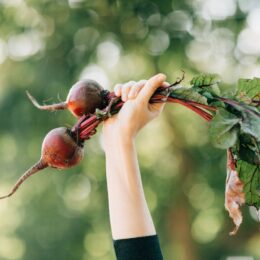 The Best Diet for Gut Health
